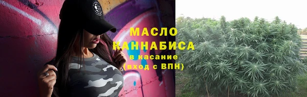гидра Елизово