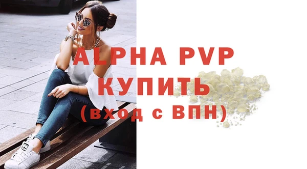 гидра Елизово