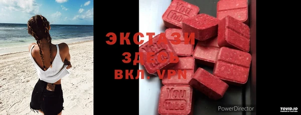 гидра Елизово