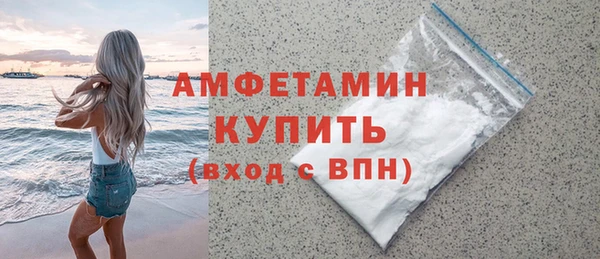 гидра Елизово