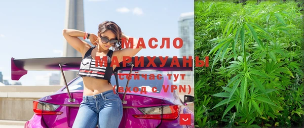 гидра Елизово