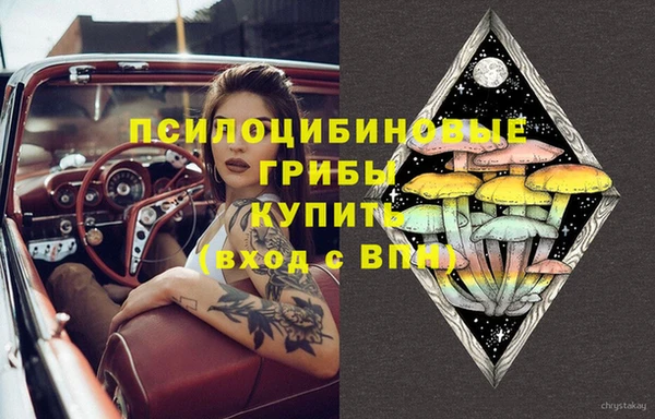 Альфа ПВП Елабуга