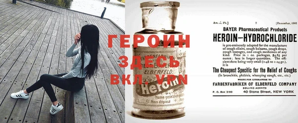 гидра Елизово