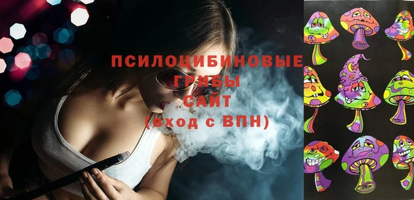 гидра Елизово