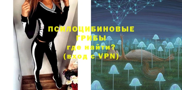 гидра Елизово