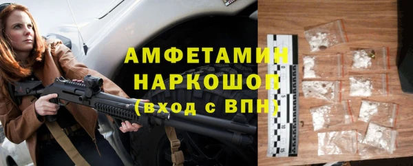 гидра Елизово