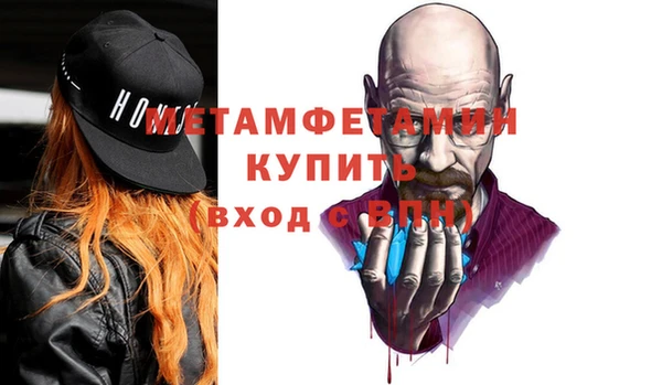 гидра Елизово