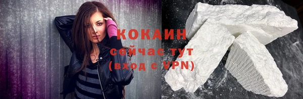 гидра Елизово
