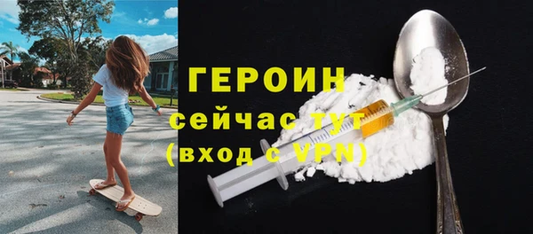 гидра Елизово