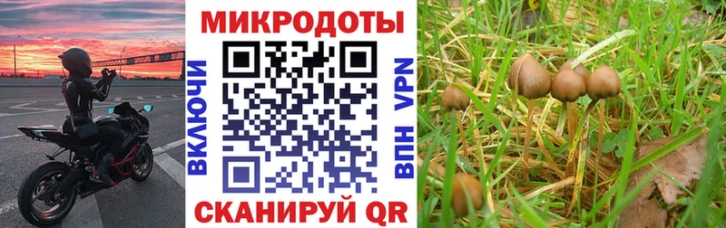 Псилоцибиновые грибы Magic Shrooms darknet как зайти Лабинск